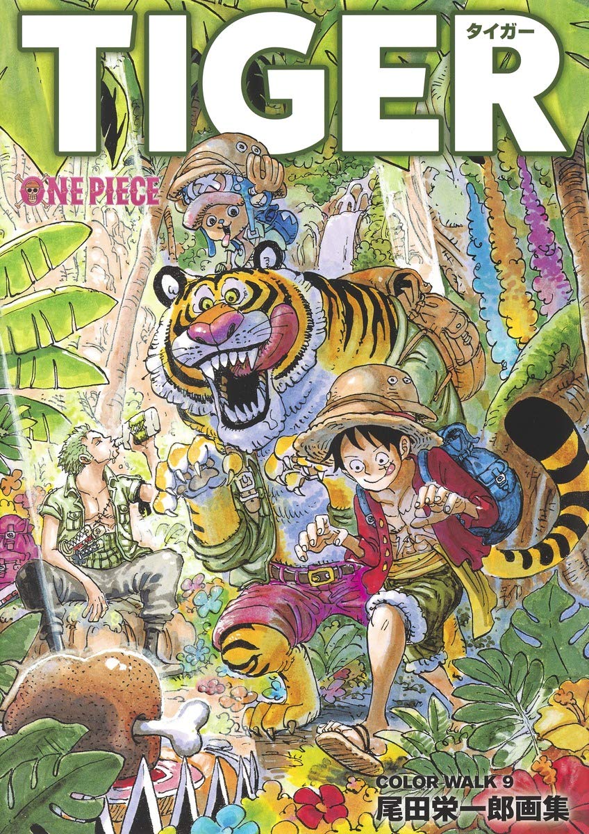 Artbook One Piece Color Walk 9 (Précommande) – japonais | JapanResell