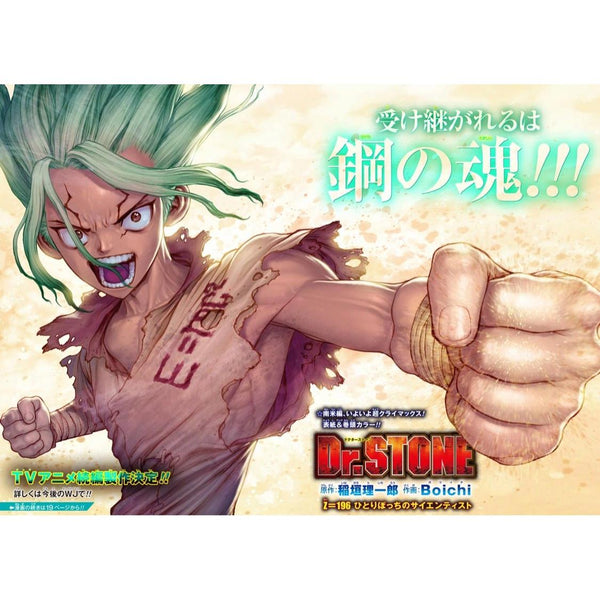 Weekly Shonen Jump 24, 2021 (Dr. Stone) – Magazine japonais | JapanResell