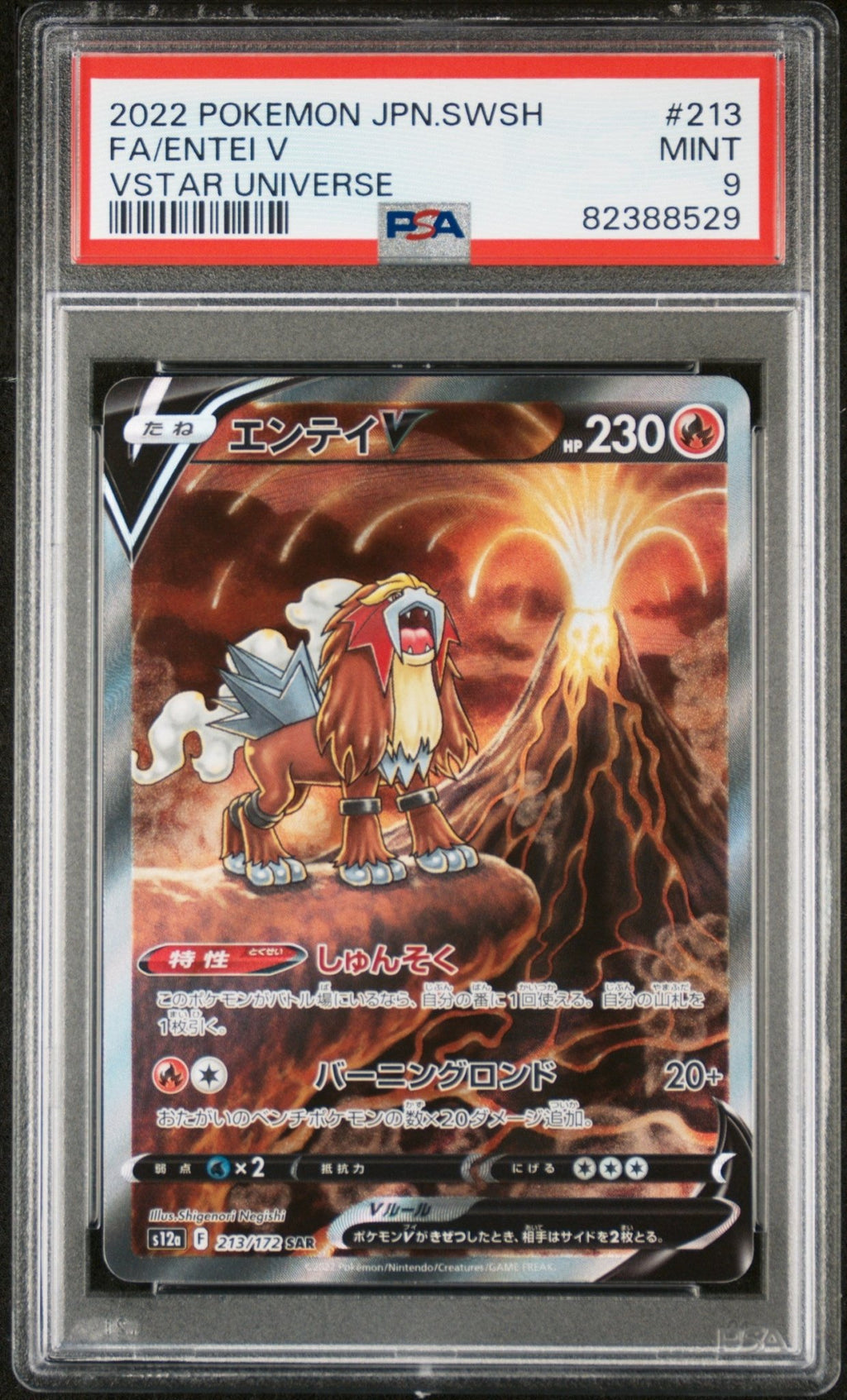 2022 Pokemon s12a (VSTAR Universe) Entei V 213/172 SAR - PSA 9 - JapanResell