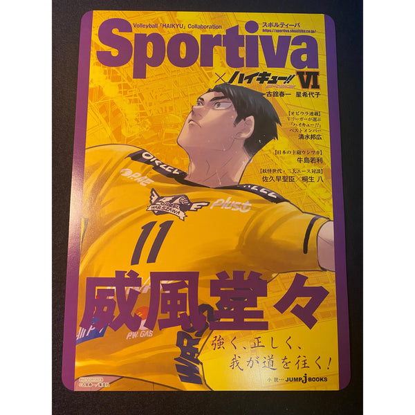 Affiche Grand Format Haikyū!! x Sportiva - Tome 6 – Affiche japonais | JapanResell