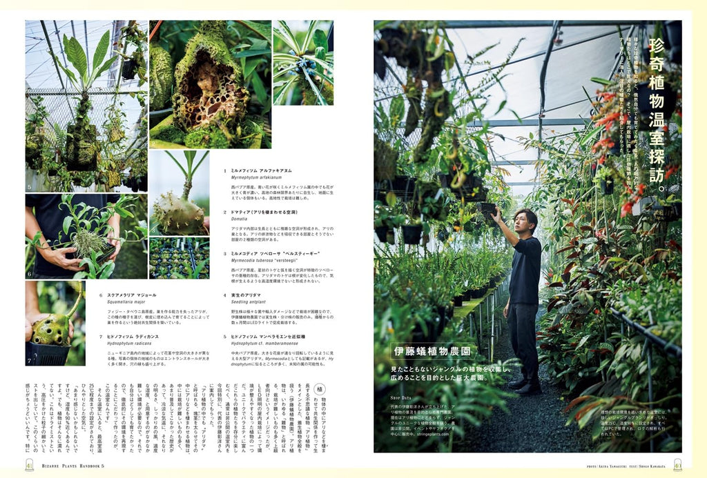 Brutus n°1030 (2025) - Bizarre Plants – japonais | JapanResell
