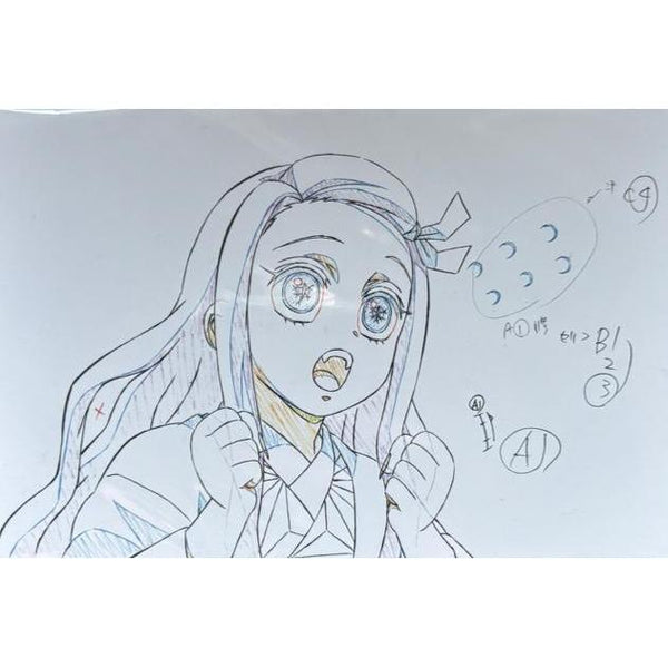 Carte Postale Demon Slayer - Lot de 5 – Carte Postale japonais | JapanResell