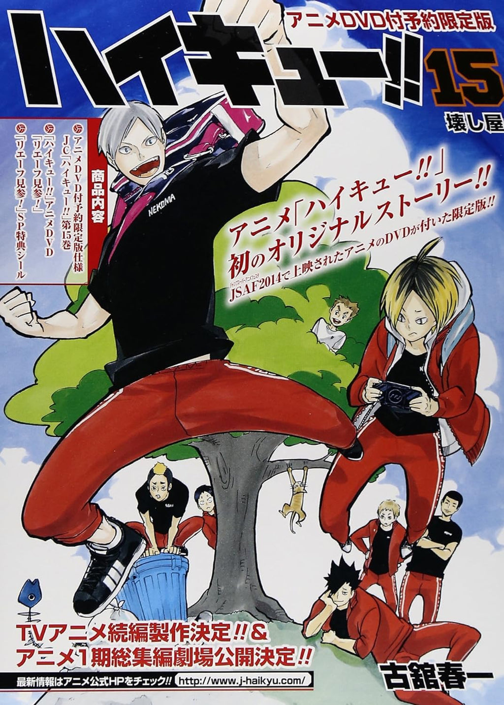 Haikyū!! Tome 15 - édition limitée (DVD) – Art Book japonais | JapanResell