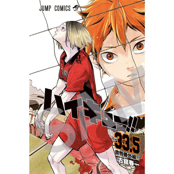 Haikyū!! - Tome 33.5 Vol. 2 – japonais | JapanResell