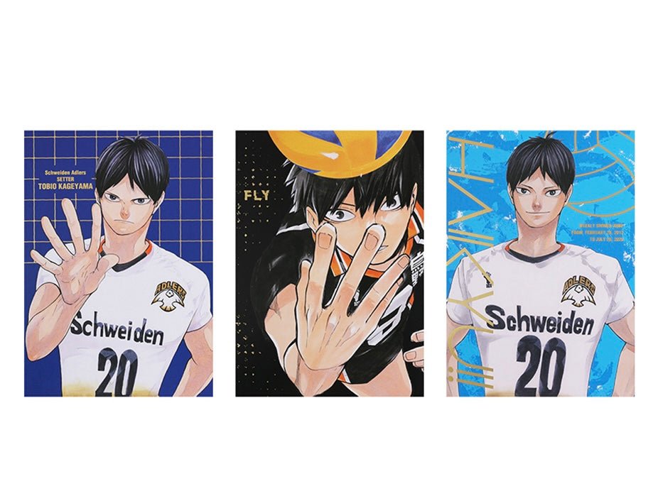 Heroes Photo Book - Tobio Kageyama - Haikyu!! Exhibition FINAL - JapanResell