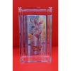 Protection Acrylique Demi - Display Pokémon Japonais – japonais | JapanResell