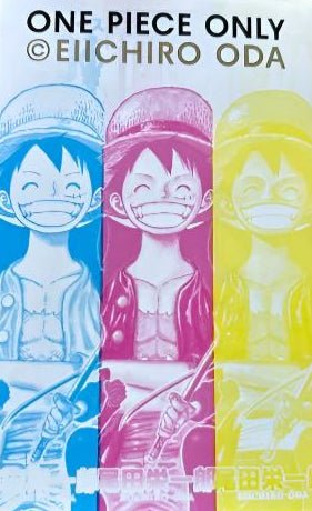 Tome officiel de l’exposition - One Piece Only Exhibition - JapanResell