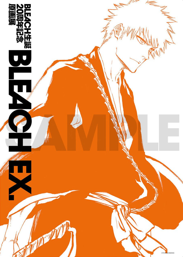 Bleach Ex. - Affiche B2 Originale de l’exposition (Précommande) - JapanResell