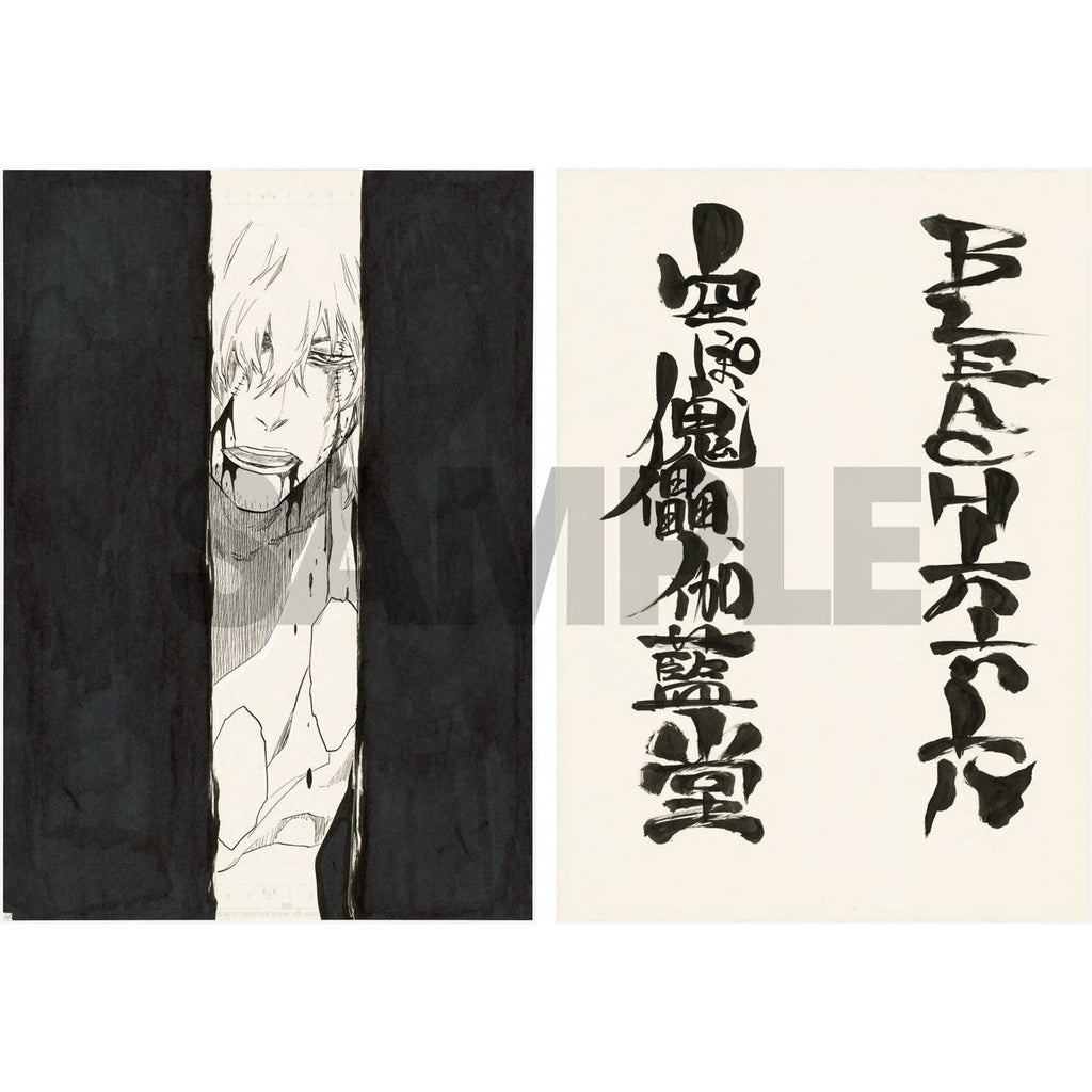 Bleach Ex. - Ensemble de 2 planches manuscrites 666. Empty Hall of the Puppet Temple (Précommande) - JapanResell