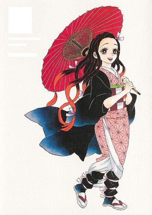 Kimetsu No Yaiba (Demon Slayer) - Artbook - JapanResell