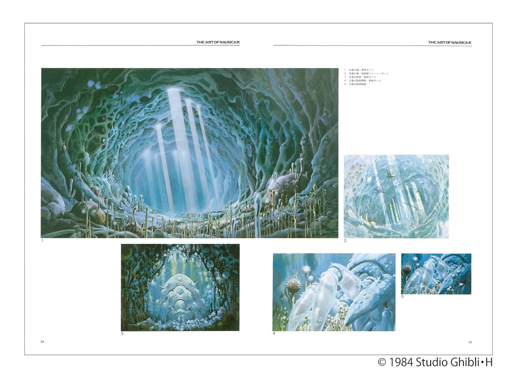 Nausicaä de la Vallée du Vent (Studio Ghibli) - Artbook - JapanResell