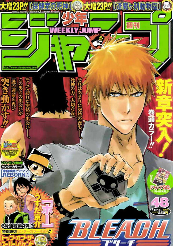 Weekly Shonen Jump 48, 2010 (Bleach) - JapanResell